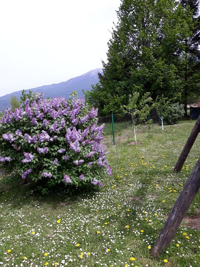 Gradina * Korenica